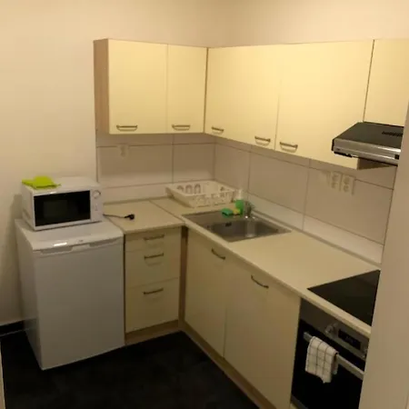 Apartmans With Parking Near Center Apartmán Brno