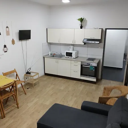 Apartmans With Parking Near Center Apartment Brünn