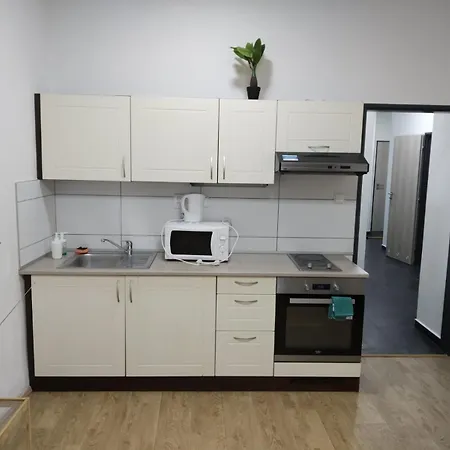 Apartmans With Parking Near Center * Brno