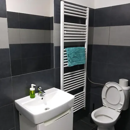 Apartmans With Parking Near Center Apartmán Brno